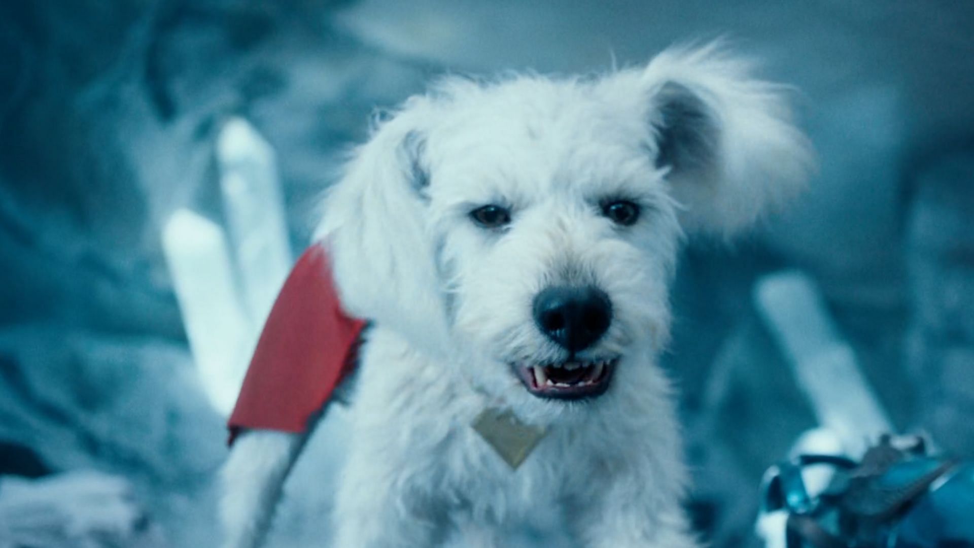 Krypto is based on Gunn's own dog, Ozu (Image via Warner Bros.)